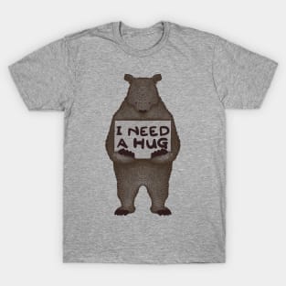 I Need a Hug T-Shirt